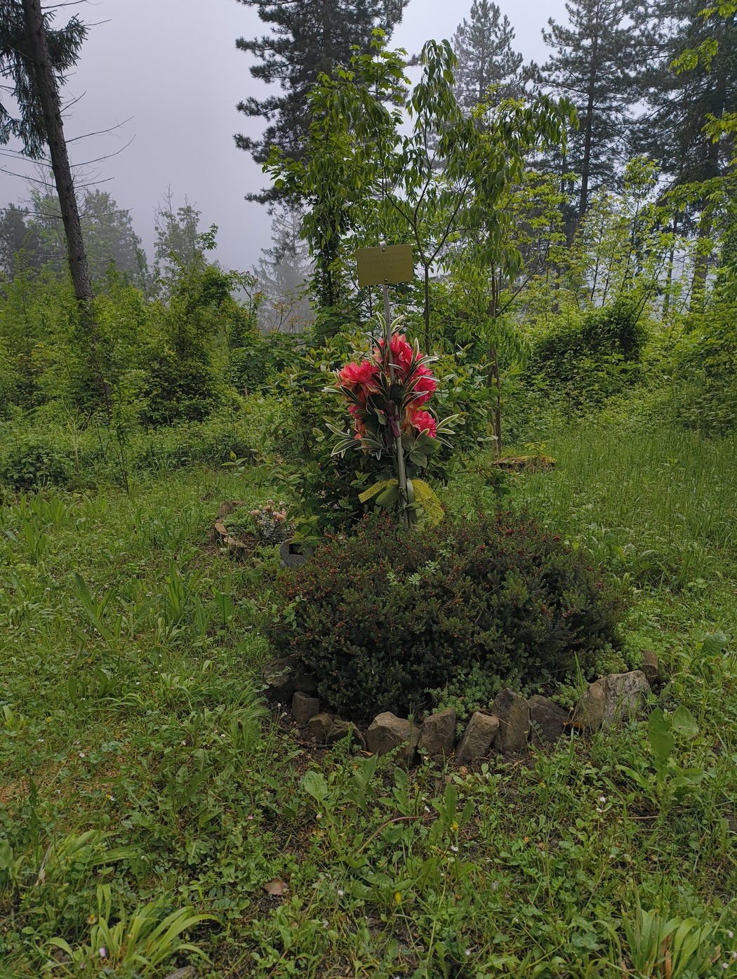 Memoriale ai partigiani, con fiori rossi e vegetazione verde, immerso in un ambiente naturale e tranquillo.