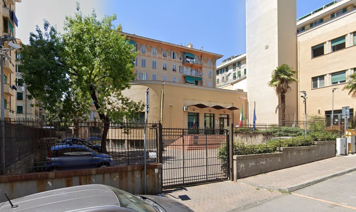 Ulivo all'interno di un cortile recintato, davanti a un edificio con ingresso principale.