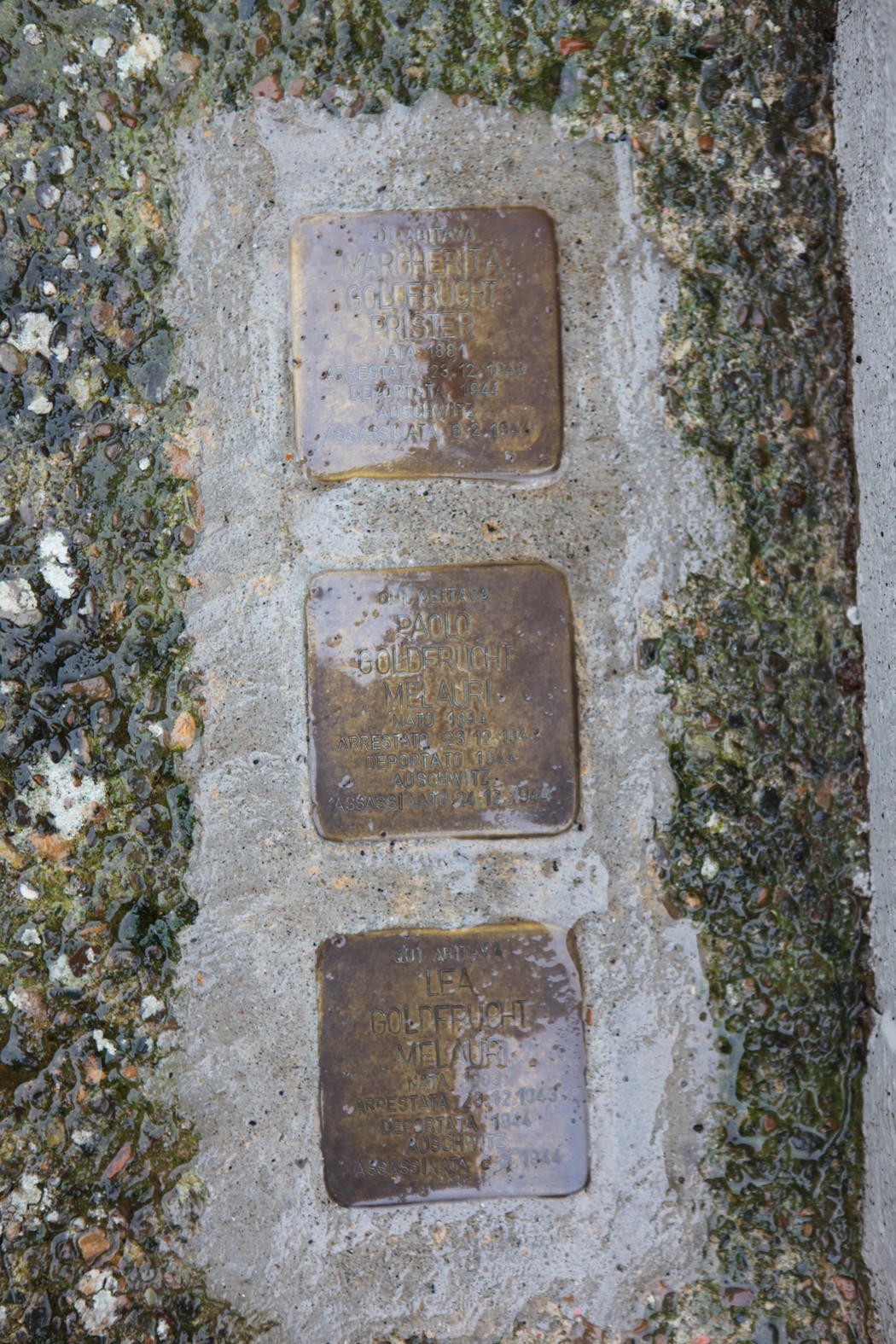 Pietre d'inciampo memoriali dedicate alla famiglia Goldfrucht, simbolo della memoria storica.
