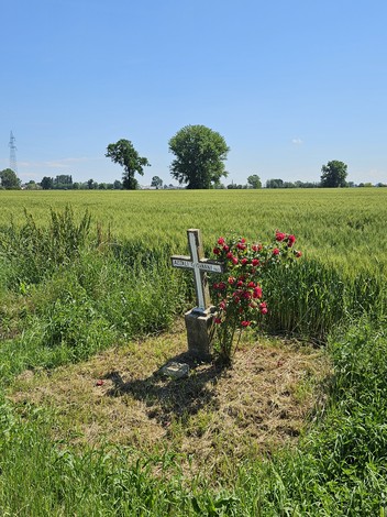 Croce di pietra circondata da fiori rossi, immersa in un campo verde sotto un cielo azzurro.
