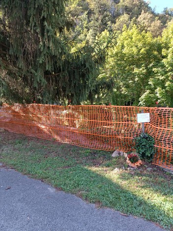 Area delimitata con rete arancione, con vegetazione e un piccolo tributo floreale sul terreno.