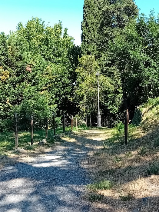 Sentiero alberato nel Parco della Rimembranza, con vegetazione lussureggiante e un lampione lungo la strada.