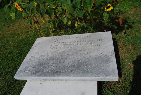 Monumento a Umile, dedicato alla memoria, circondato da girasoli in un contesto naturale sereno.