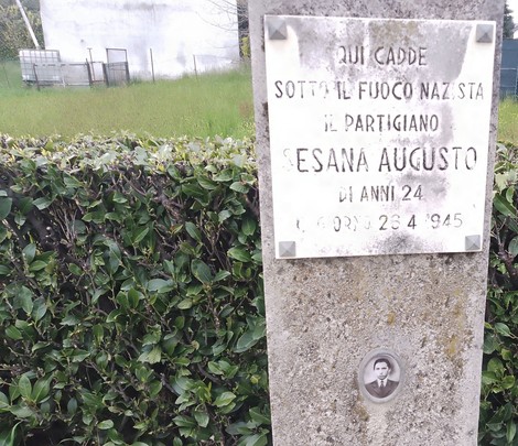 Cippo commemorativo dedicato al partigiano Sesana Augusto, con foto e iscrizione, immerso nel verde.
