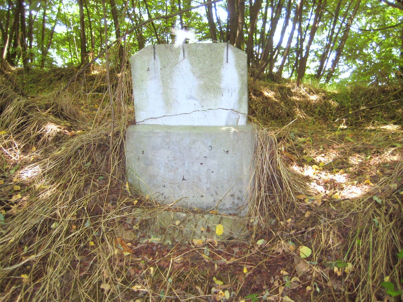 Cippo a Cerruti, monumento immerso nella natura, circondato da vegetazione e abbandono.
