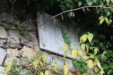 Lapide commemorativa immersa nella vegetazione, su una parete di pietra naturale.