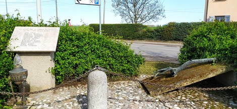 Monumento ai Caduti di Le Budrie, con la stele incorniciata da vegetazione e un braccio che emerge da una lastra.