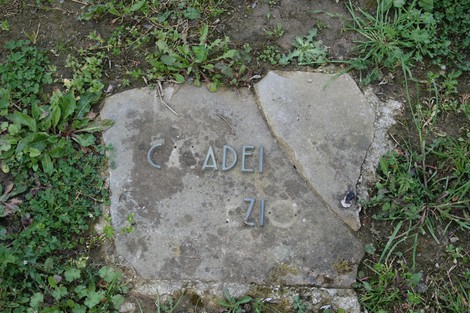 Monumento del cimitero di Stia, con pietra commemorativa e vegetazione circostante.