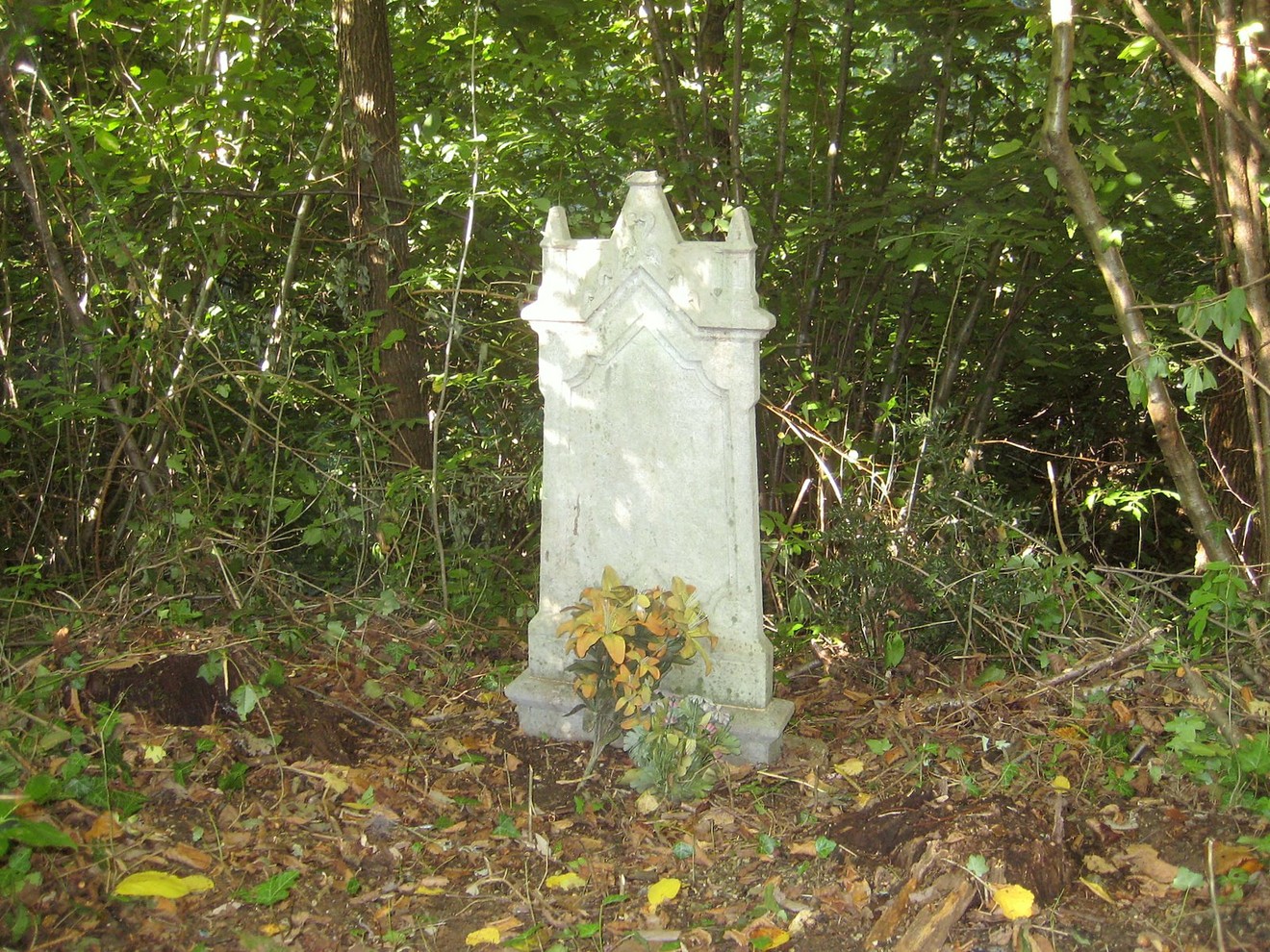 Monumento commemorativo immerso nella natura, con vegetazione circostante e foglie a terra.