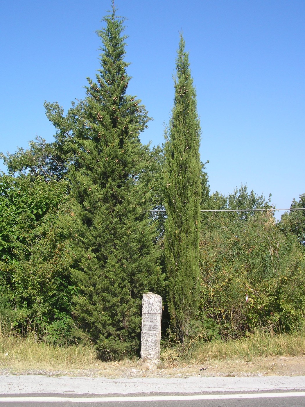 Cippo storico circondato da alberi in un paesaggio naturale.