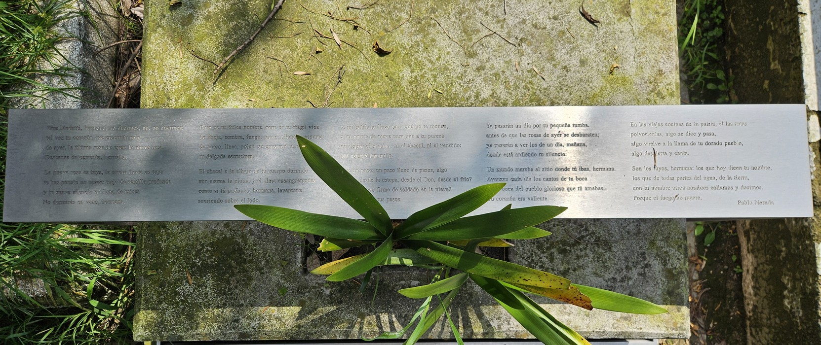 Tomba di Modotti, Messico, foto 5