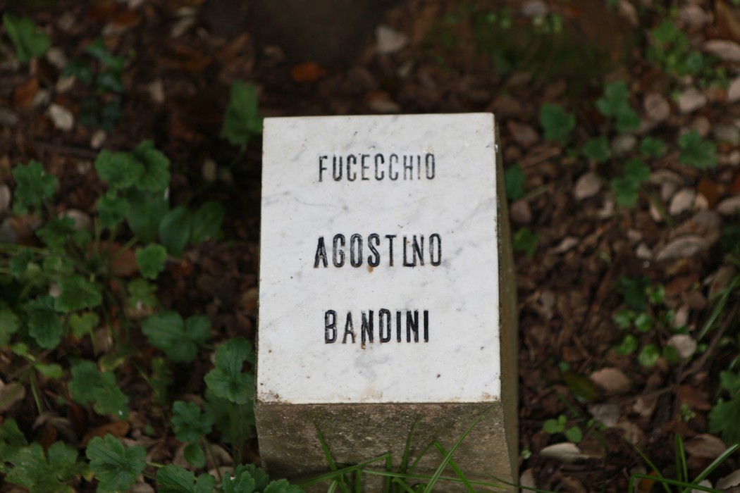 Giardino della meditazione, un luogo di tranquillità immerso nella natura, rifugio per mente e spirito.