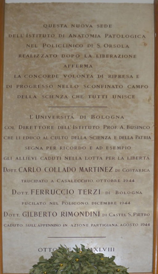 Lapide commemorativa dedicata a Collado Martinez, Terzi e Rimondini, presso l'Istituto di Anatomia Patologica.