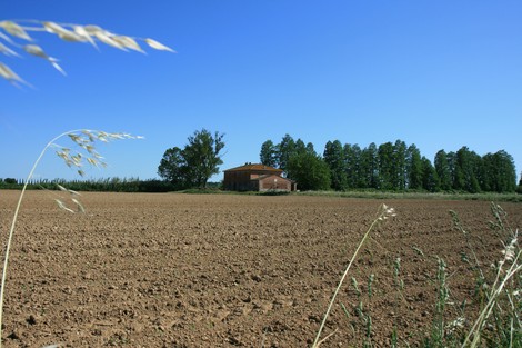 Lapide di Casa Simoni, visibile in un ampio campo soleggiato con alberi sullo sfondo.