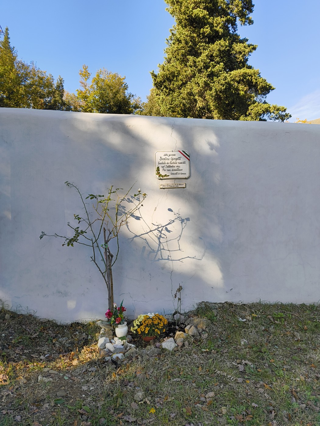 Lapide commemorativa dedicata a Giorgetti, con fiori e una pianta vicino a un muro bianco.