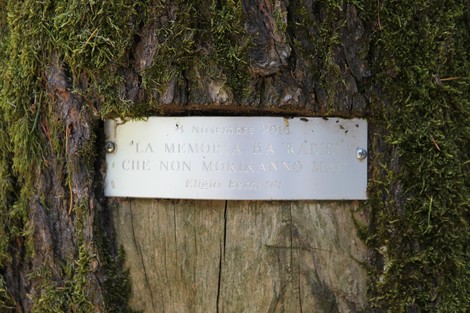 Monumento ai Caduti in un contesto naturale, con una targa commemorativa incastonata nel legno.