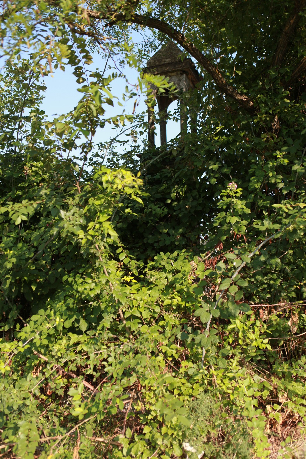 Cippo ai caduti circondato da vegetazione, con struttura visibile in lontananza.
