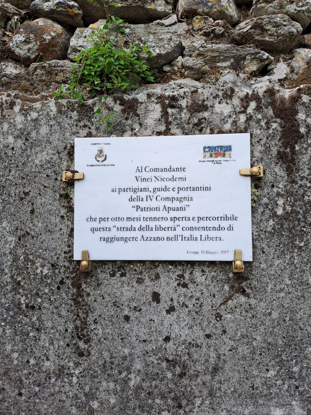 Targa bianca con iscrizione, fissata su muro in pietra con staffe dorate, tra erba e rocce.