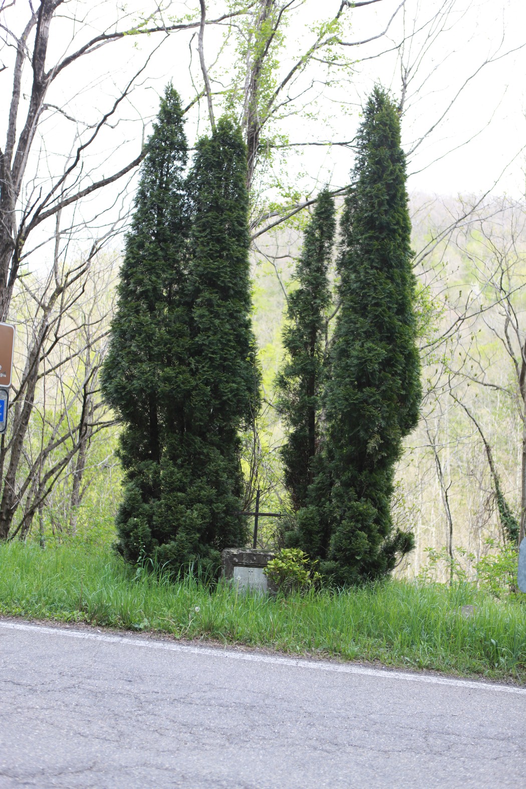 Cippo a Ciampelli con alberi di cipresso che si ergono lungo una strada circondata dalla natura.