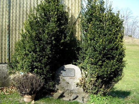 Cippo a Liva, circondato da piante verdi, in un contesto naturale sereno e tranquillo.