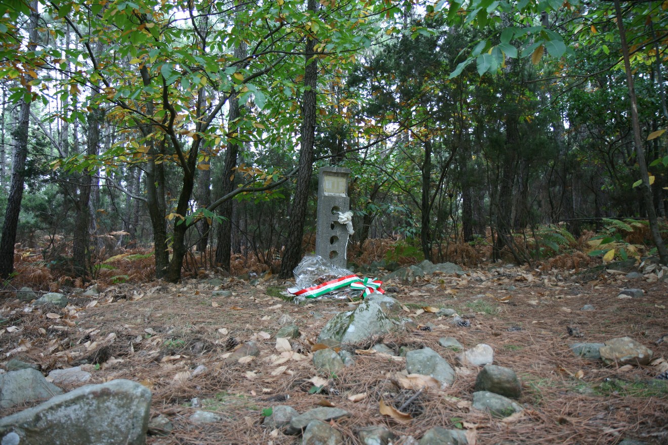 Cippo commemorativo immerso nella natura, circondato da alberi e foglie, simbolo di memoria storica.