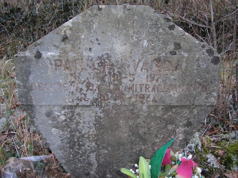 Cippo commemorativo dedicato a Panichi, situato in un contesto naturale con fiori freschi.
