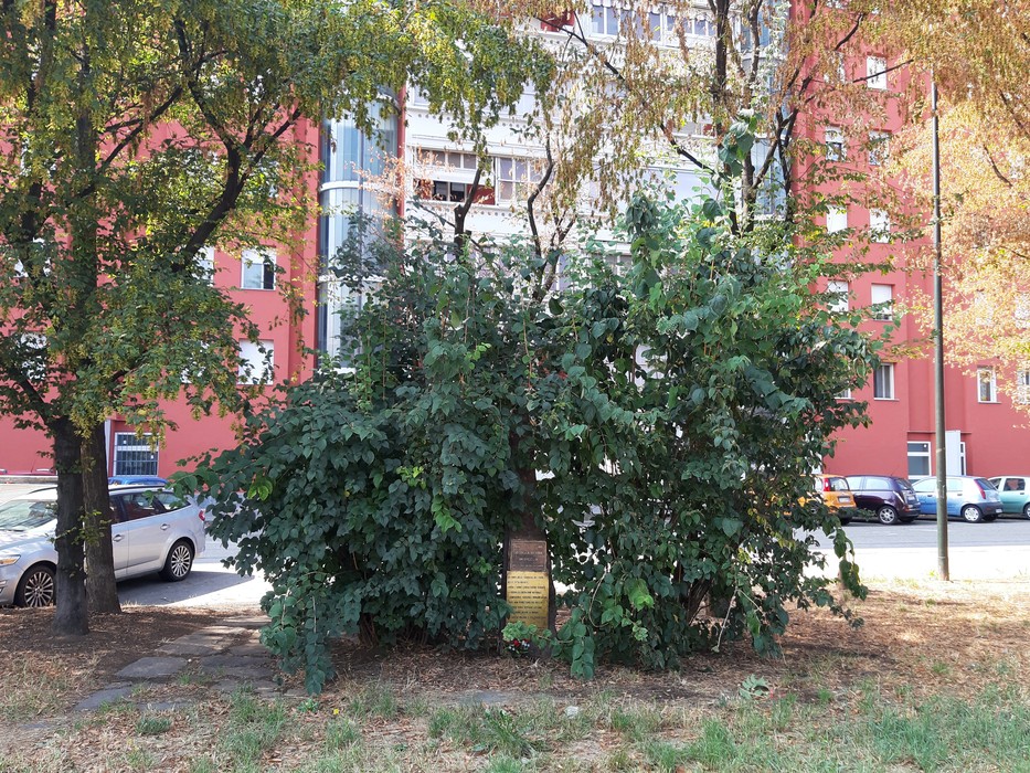 Cippo commemorativo in un'area verde, circondato da alberi e vegetazione, in ricordo della Resistenza.