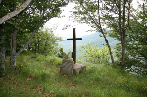 Cippo a Morasco, monumento naturale circondato da alberi e panorami montani.