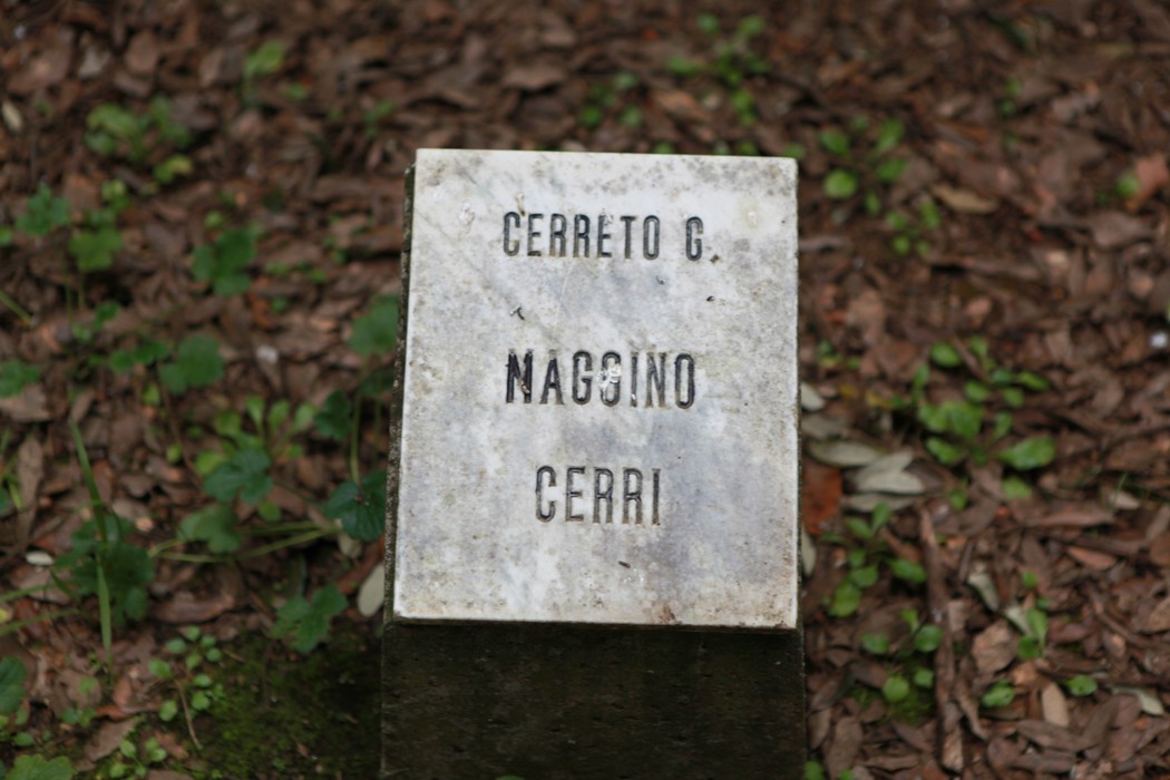 Un tranquillo giardino dove riflettere e meditare, circondato da natura e serenità.