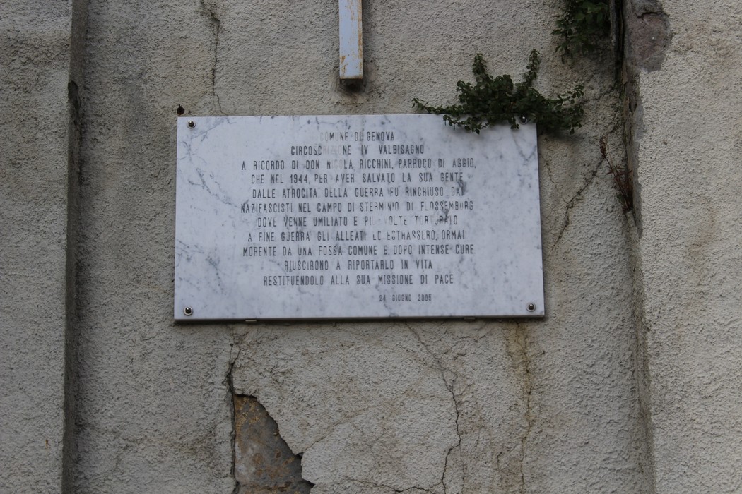 Lapide commemorativa dedicata a Ricchini, situata su una parete e circondata da vegetazione.