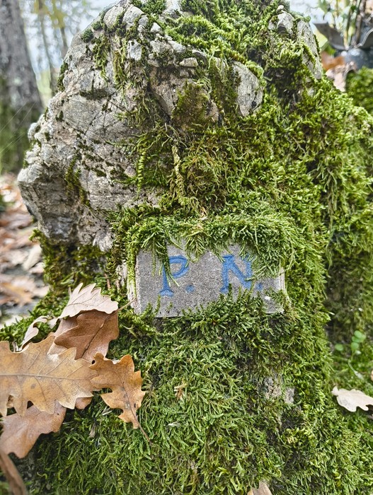 Monumento ai caduti di Ca' Boschetto, immerso nella natura con muschio e foglie secche.