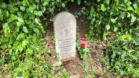 Cippo commemorativo dedicato ad Angelo Palozza, con fiori rossi e vegetazione circostante.