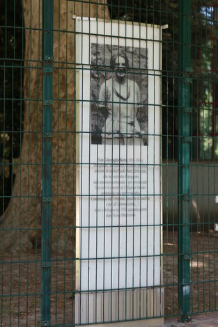 Stele a Giaccaglia visibile attraverso una recinzione, circondata da alberi e vegetazione.