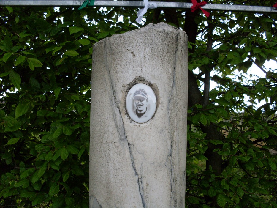 Cippo in pietra con un medaglione, circondato da vegetazione. Monumento evocativo della memoria storica.