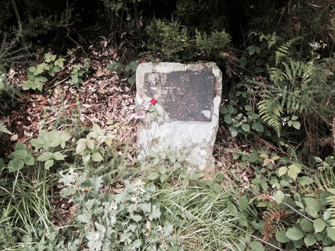 Cippo commemorativo circondato da vegetazione, dedicato a Dini, Meini e Rossi.