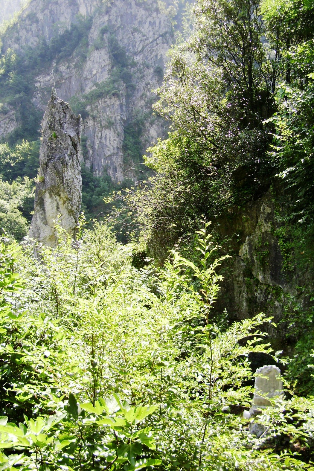 Cippo a Garosi: un monumento naturale circondato da natura lussureggiante e imponenti pareti rocciose.