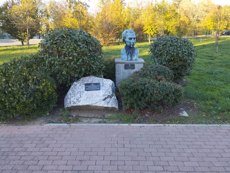 Monumento a Collado Martinez: busto commemorativo immerso nel verde, circondato da arbusti e piante.