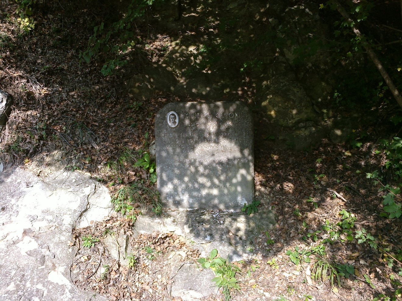 Cippo a Cilloni, un monumento immerso nella natura, circondato da ombre e vegetazione.