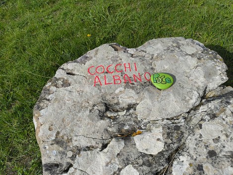 Monumento ai partigiani caduti a Monte Sabbiuno, testimonianza della Resistenza e della lotta per la libertà.