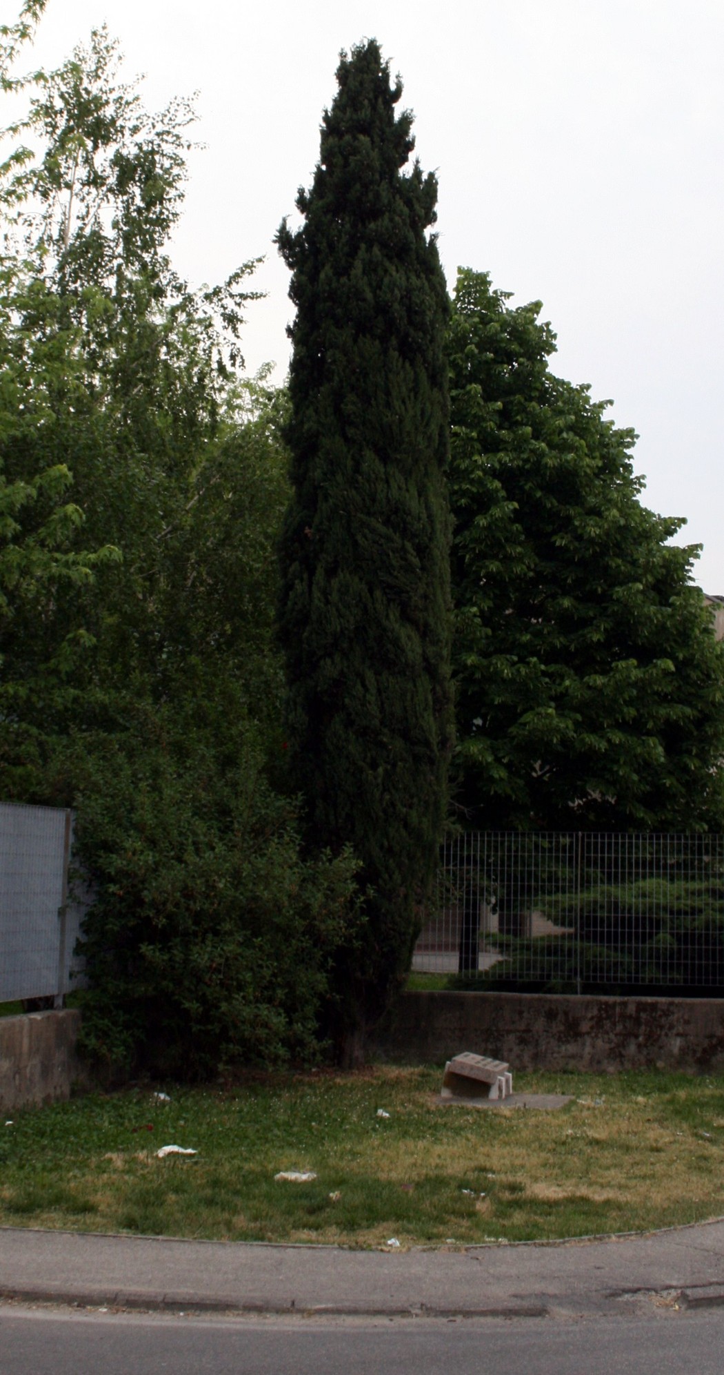 Cippo a D'Angela, monumento circondato da alberi e vegetazione in un'area pubblica.