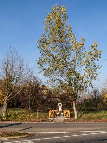 Monumento a Meschiari e Bruni, situato lungo una strada, circondato da alberi e verde.