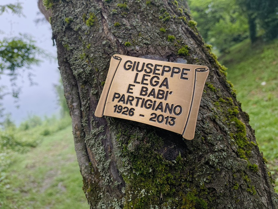 Targa commemorativa su un albero in memoria di Giuseppe Lega e Babì, partigiani dal 1926 al 2013.
