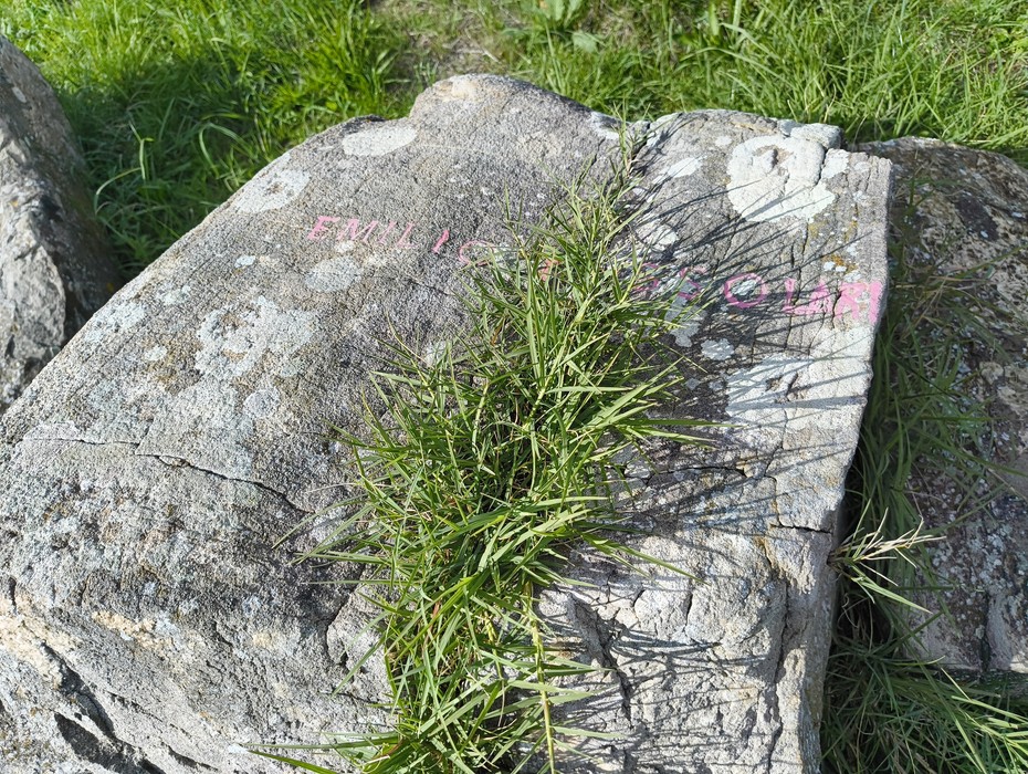 Monumento ai partigiani caduti, situato su Monte Sabbiuno, commemorazione di vite sacrificati per la libertà.
