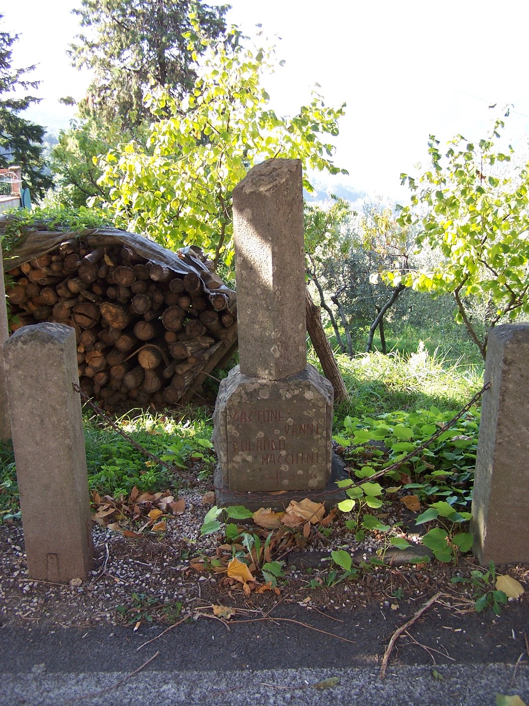 Cippo di Vellano, monumento storico immerso nella natura, vicino a un deposito di legna.