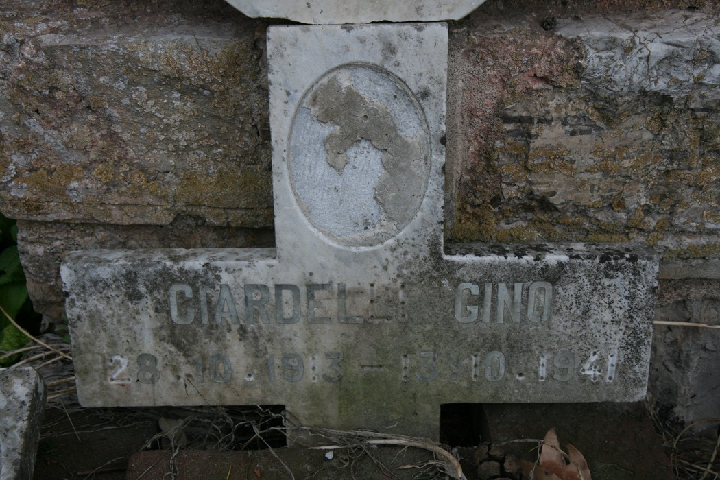Tabernacolo di Marina di Vecchiano, un antico monumento in pietra immerso nel verde.