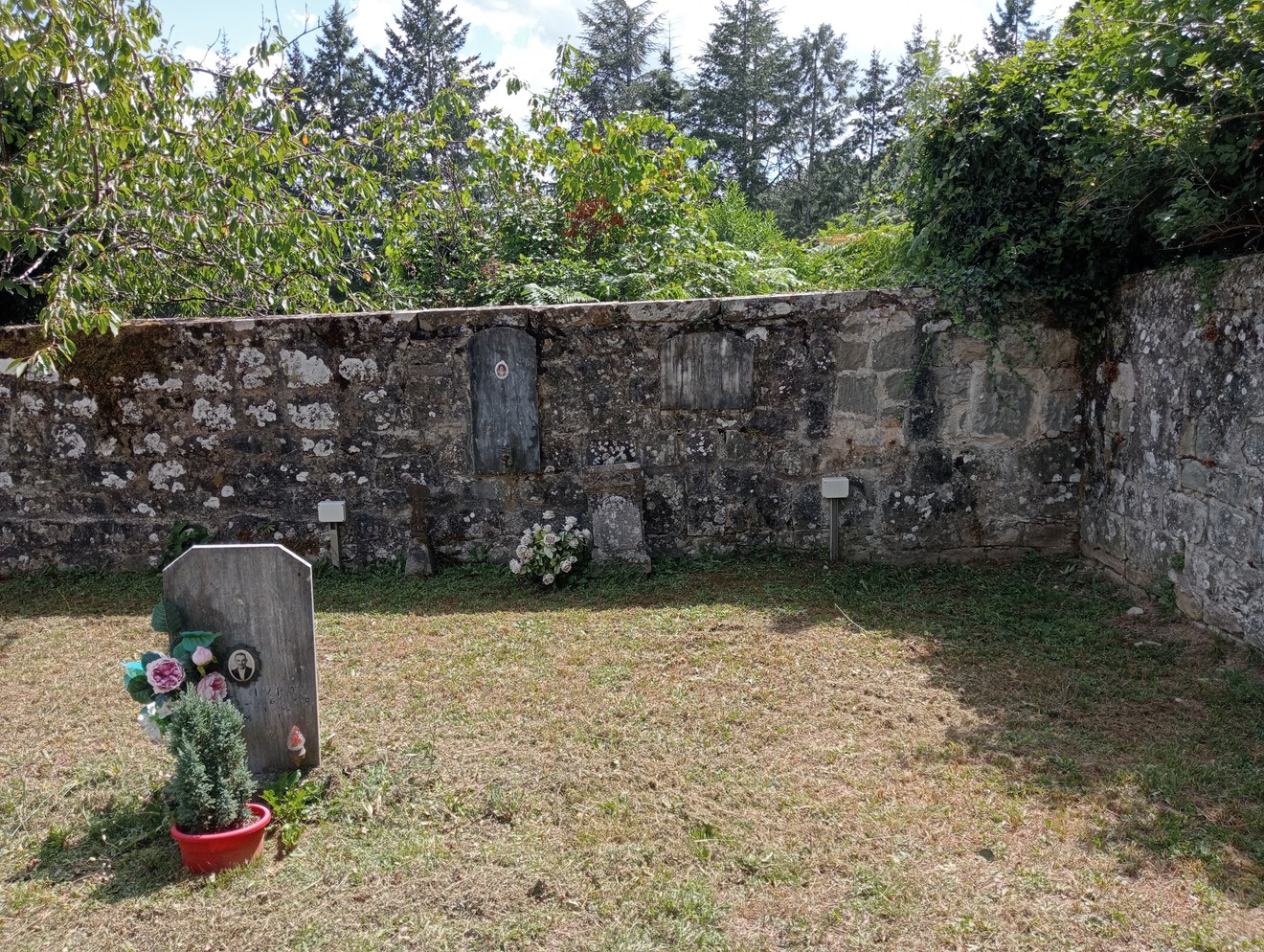Area della "Tomba di Ricci" con un muro di pietra, vegetazione e due sepolture decorate.