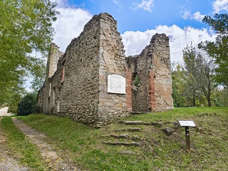 Rovine dell'oratorio di Cerpiano immerse nella natura, testimoni di un passato storico affascinante.