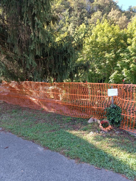 Area delimitata con rete arancione, con vegetazione e un piccolo tributo floreale sul terreno.