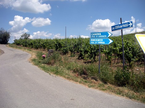 Cippo commemorativo situato nella zona della Battaglia delle Ceneri, circondato da vigneti e natura.