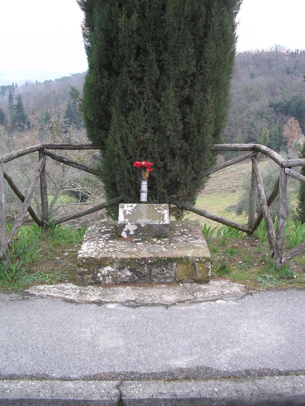 Cippo a Bonci con una pianta, situato in un contesto naturale e circondato da una recinzione in legno.